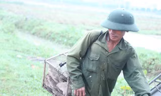 Nông dân 'bỏ túi' tiền triệu nhờ săn loài gặm nhấm này