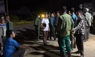 Nguyên nhân ban đầu vụ thanh niên vào rừng săn ong tử vong sau 1 tuần mất tích