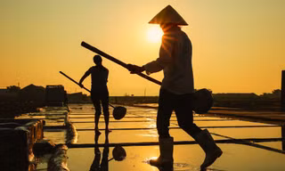 Đẹp ngỡ ngàng bình minh trên cánh đồng muối xứ Nghệ