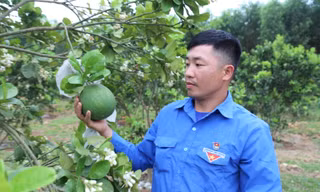 Mở trang trại thu hàng trăm triệu đồng