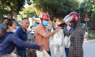 Bán cả trăm con vịt ngày Tết Đoan Ngọ