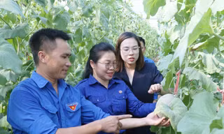 Tiếp tục giữ gìn, phát huy tình hữu nghị, đoàn kết đặc biệt Việt Nam - Lào