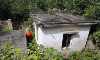 Nhà máy nước tiền tỉ bị bỏ quên giữa heo hút rừng tràm 