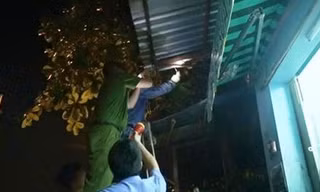 Ảnh minh họa