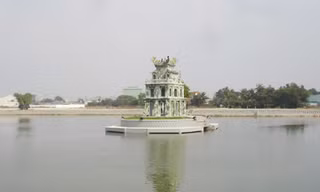 Vẫn đang tìm cách cứu 'cụ' Rùa