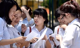 Hội đồng trường cần có thực quyền