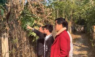 Nghĩa trang và khu đất quy hoạch của ĐH Tây Bắc chỉ cách nhau con ngõ nhỏ.