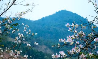 Nở rộ tour du lịch Điện Biên 