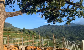 Công trình bê tông mọc lại tại cây song song ở Y Tý. Ảnh: Ly Xá Xuy