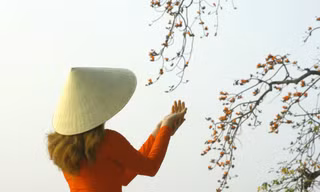 Sáng tác tranh kỷ niệm 70 năm Giải phóng Thủ đô