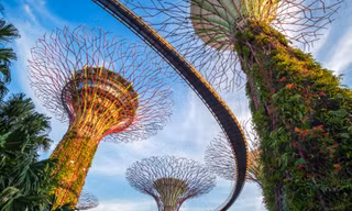 Việt Nam là 1 trong 10 thị trường du lịch quan trọng của Singapore