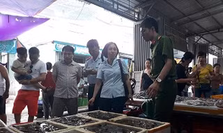 Thu giữ lượng lớn tôm căng, mập bất thường do bơm chất độc hại