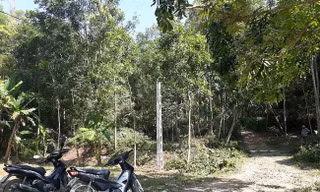 Hiện trường thi công đường điện