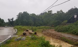 vị trí trước và sau khi bị đào, phá