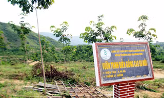 'Lá bùa' chủ trương