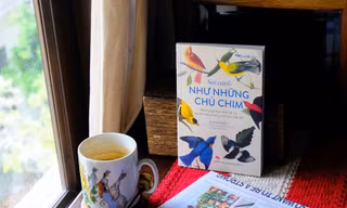 Sải cánh như những chú chim: Kể bạn nghe những bài học nhỏ xinh từ loài chim