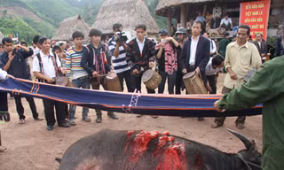 Huyền thoại mùa săn máu