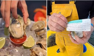 Dịp lễ hội hay bị ăn trộm hàu, bác nông dân nuôi hàu ở Pháp nghĩ ra cách bắt trộm cực đỉnh
