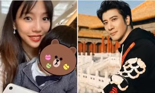 Vương Lực Hoành bất ngờ “quay xe”, xin lỗi như vợ cũ yêu cầu, tuyên bố tạm dừng làm việc