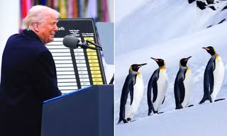 Tại sao Tổng thống Mỹ Trump dự định áp thuế ở cả quần đảo chỉ có chim cánh cụt?