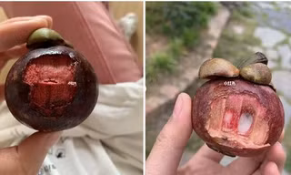 Một người Trung Quốc kêu trời vì măng cụt “vừa đắt vừa đắng”, hóa ra có cách ăn quá bất ngờ