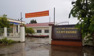 Bí thư xã ở Cần Thơ đi kiểm tra dịch tả lợn... ở Côn Đảo