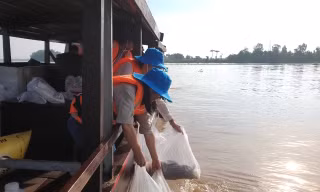 Cần Thơ thả 30.000 con cá giống để tái tạo nguồn lợi thuỷ sản