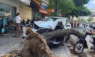 Giám đốc Công an Hà Nội chỉ đạo khẩn trương điều tra vụ tai nạn trên phố Trần Đại Nghĩa