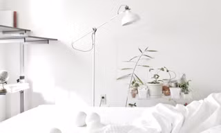 Sống tối giản không có nghĩa là ngừng mua thứ mình thích, thậm chí nên có những thứ này