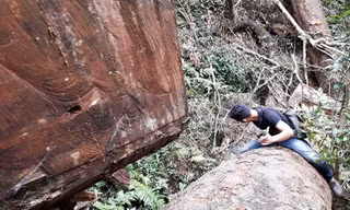 Nhiều vụ việc phá rừng tại huyện Chư Păh được các phóng viên phát hiện, trình báo ngành chức năng