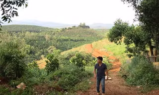 Buông lỏng quản lý rừng, Ban thường vụ Huyện ủy Đắk G’long bị kỷ luật