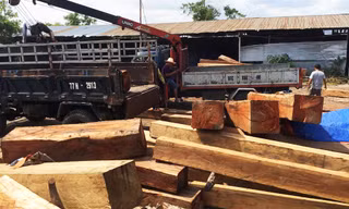 Lực lượng chức năng "đột kích" vào Công ty TNHH Duy Nguyên