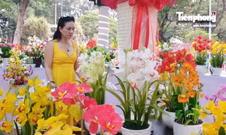 Người Sài Gòn trẩy hội hoa xuân ngắm 'kỳ hoa dị thảo'