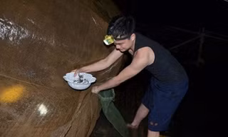 Gần chục năm nay, đêm nào thầy cô trường Tân Dân cũng bắt cá cải thiện bữa ăn cho học sinh.