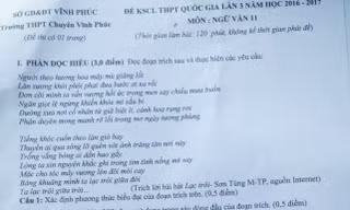 Có nên đưa lời bài hát 'Lạc trôi' vào đề thi Ngữ văn?
