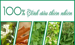 Bước đột phá dòng sản phẩm cao xoa chứa 100% tinh dầu thiên nhiên