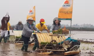 Lãnh đạo tỉnh Ninh Bình lội ruộng cùng bà con nông dân.