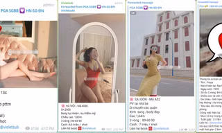 Vì sao dịch vụ gái gọi, sex tour rộ trên Telegram