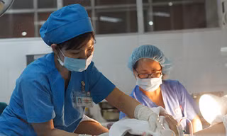 Những công dân đầu tiên năm Bính Thân