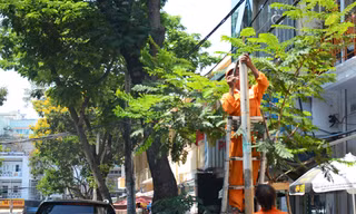 Biển báo cấm xe khách trên 9 chỗ dừng, đổ trên đường Lê Thị Hồng Gấm (quận 1) được gắn ngay sau tin nhắn của người dân đến tân Bí thư Thành ủy Đinh La Thăng. Ảnh: Đ.L
