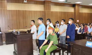 Gây thiệt hại hơn 11 tỷ đồng, cựu chủ tịch huyện lĩnh 5 năm tù