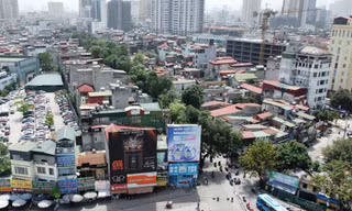 Cận cảnh hàng cây cổ thụ sắp bị di chuyển, chặt hạ để mở đường 'đắt nhất hành tinh'