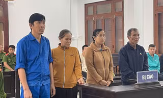 Con rể kéo gia đình nhà vợ vào vòng lao lý