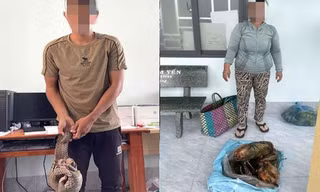 Bắt quả tang 2 đối tượng vận chuyển nhiều động vật nguy cấp, quý hiếm