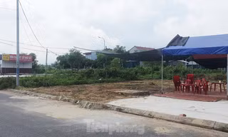 Đất nền ế ẩm, môi giới đi bán nước mía và buôn rau 