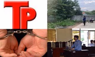 Bản tin Hình sự: Tin mới vụ phát hiện thi thể nguyên chủ tịch huyện trong bụi rậm