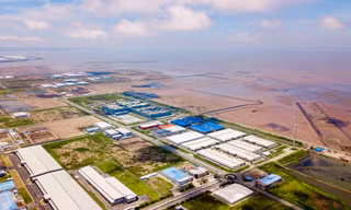 Đất công nghiệp hấp thụ cao kỷ lục