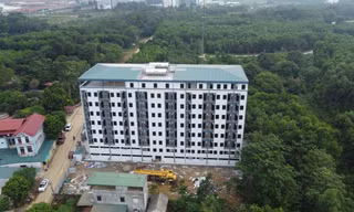 Chung cư mini xây 'chui' cả trăm căn hộ ở Thạch Thất: Xây chủ yếu trên đất trồng cây
