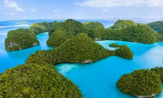 Ngây ngất sắc xanh tại đảo đá Palau