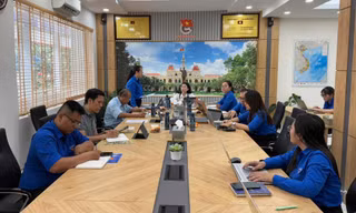 Bí thư Trung ương Đoàn làm việc với Hội đồng Đội TPHCM 
